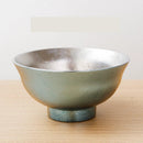 Axyaa Double-Layer Titanium Bowl & Spoon Set - Large, Anti-Scalding, Vacuum Tableware