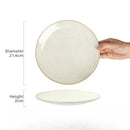 Axyaa Ceramic Vegetable Plates for Japanese and Western Dining with Minor Flaws