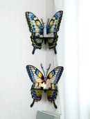 Axyaa Butterfly Crystal Shelf: Home Decor Essential Oil Rack & Floating Wall Display