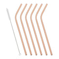 Axyaa Rainbow Stainless Steel Drinking Straws, 6pcs Bent Tube Set