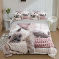 Axyaa 3D Cat Print Duvet Cover Set - All Season Soft Comfort Bedding