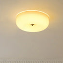 Axyaa Retro Glass LED Ceiling Lamp for Home Lighting