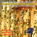 Axyaa Solar Vine String Lights - Waterproof Outdoor Fairy Lights for Christmas Garden
