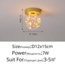Axyaa Glass Ball Gypsophila Chandelier: Modern Luxury Lighting for Home, Living, Dining & Bedroom