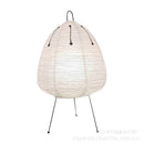 Axyaa Modern Minimalist Ceiling Light: Warm Lighting for Dining Room and Bedroom