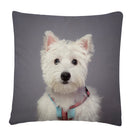 Axyaa Dog Art Print Polyester Cushion Cover for Home Sofa Car Decor