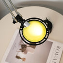 Axyaa Colored Lampshade Wall Light with Long Arm for Bedroom Study Reading