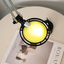 Axyaa Colored Lampshade Wall Light with Long Arm for Bedroom, Reading, Study