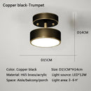 Axyaa Modern LED Copper Ceiling Light for Bedroom Living Room, Nordic Style Gold-Black Fixture
