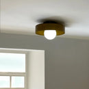 Axya Modern Glass Wall Lamp Dual Purpose Ceiling Light for Living Room Bedroom