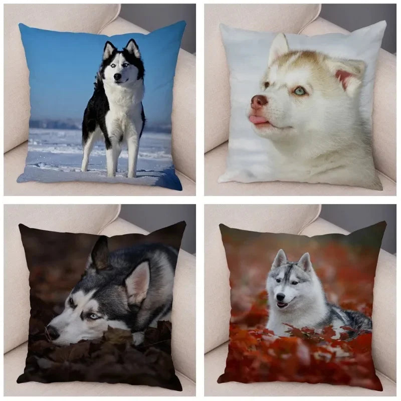 Axyaa Siberian Husky Pet Sofa Cushion Cover - Cute Dog Print Pillowcase Decor