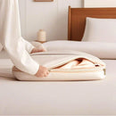 Axyaa Hanging Garment Bag: Transparent Zippered Space-Saving Clothes Storage