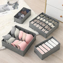 Axyaa Underwear Socks Pants Bra Storage Box Wardrobe Organizer for Home