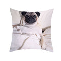 Axyaa Pug Dog Pillow Case 45*45CM Cute Dog Decorative Cover