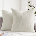 Axyaa Decorative Lumber Throw Pillow Covers - Set of 2