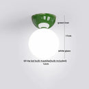 Axyaa LED Glass Iron Ceiling Light - Modern Nordic Style Home Indoor Lighting