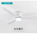 Axyaa Large Retro Ceiling Fan for Living Room - Simple Design Electric Ceiling Lamp