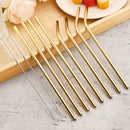 Axyaa Stainless Steel Reusable Drinking Straw Set - Eco-Friendly Bar Accessory