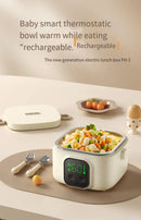 Axyaa Portable Electric Lunch Box - LCD Display, Small Capacity, Rechargeable