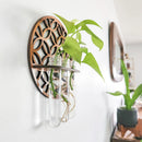Axyaa Wooden Circle Wall Planters with 3 Test Tubes