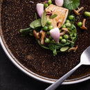 Axya Ceramic Steak and Pasta Plates - Premium Restaurant Tableware