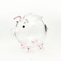 Axyaa Glass Piggy Bank for Gold Beans Storage - Mini Wish Bottle