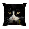 Axyaa Black Cat Cartoon Decorative Cushion Cover