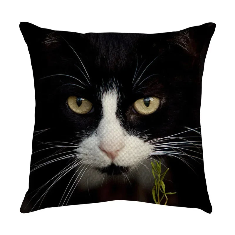 Axyaa Black Cat Cartoon Decorative Cushion Cover