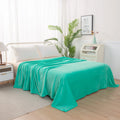 Axyaa Velvet Plush Fleece Blanket - Solid Color Velour Design