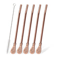 Axyaa Stainless Steel Reusable Drinking Straws Set for Cocktails