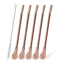 Axyaa Stainless Steel Reusable Drinking Straws Set for Cocktails