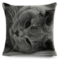 Axyaa British Shorthair Russian Blue Cat Cushion Cover - Cute Pet Animal Pillowcase