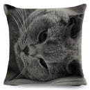 Axyaa British Shorthair Russian Blue Cat Cushion Cover - Cute Pet Animal Pillowcase