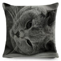 Axyaa Cat Pet Animal Cushion Cover - Cute British Shorthair Russian Blue Pillowcase