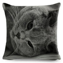 Axyaa Cat Pet Animal Cushion Cover - Cute British Shorthair Russian Blue Pillowcase