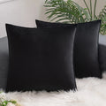 Axyaa Halloween Velvet Throw Pillow Cover Set - Various Sizes & Designs