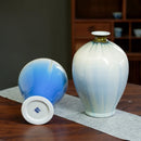 Axyaa Blue Glaze Ceramic Vase - Elegant Home Decor Beauty, Small Bottle Mouth