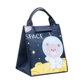 Axyaa Multicolor Waterproof Hand Pack Thermal Lunch Bag for Women