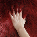 Axyaa Long Plush Fur Rug for Living Room, Bedroom - Luxurious Artificial Sheepskin Carpet