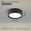 Axyaa LED Downlight Ceiling Lamp, Ultra Thin, Modern Design, Bedroom Living Room Lighting