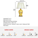 Axyaa Ceramic Table Lamps - Luxury Contemporary Lighting for Home and Office