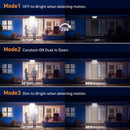 Axyaa Solar Motion Sensor LED Garden Wall Light - Super Bright & Waterproof