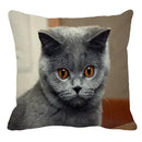 Axyaa British Shorthair Cat Pillow Cover 45X45cm Square Cushion