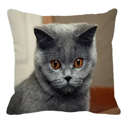 Axyaa British Shorthair Cat Pillow Cover 45X45cm Square Cushion