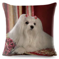Maltese Dog Pillow Cover by Axyaa - Decorative Cushion Case for Home and Car