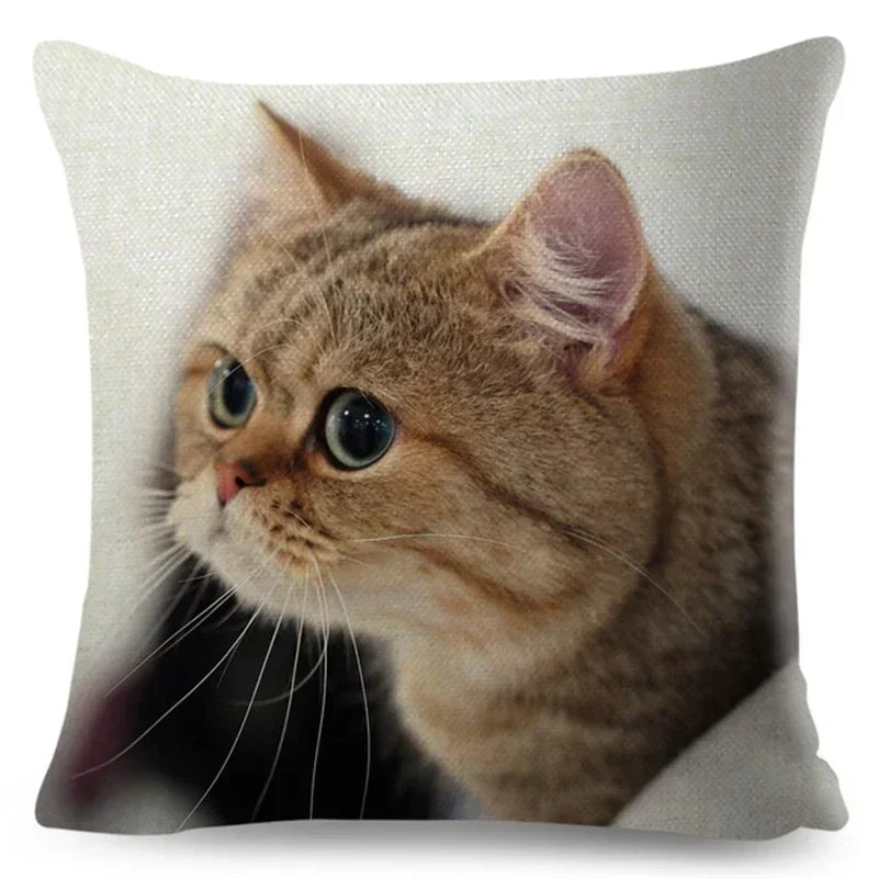 Axyaa Fold Ear Cat Pillow Covers - Set of 2 Cute Pet Pillowcases