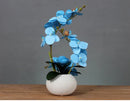 Ceramic Butterfly Orchid Vase for Home Decor Axyaa Orchid Collection