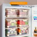 Axyaa Large Capacity Crisper Box for Food Preservation and Storage