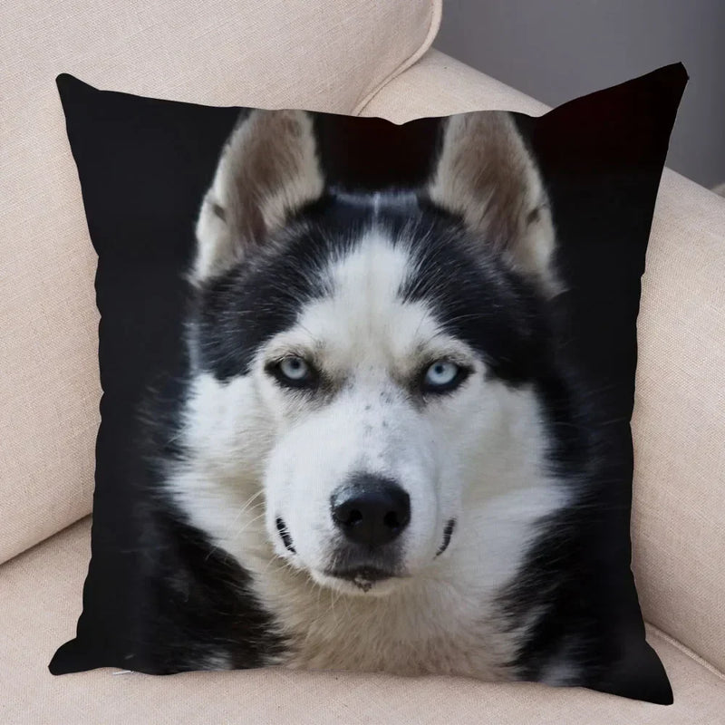 Axyaa Siberian Husky Pet Sofa Cushion Cover - Cute Dog Print Pillowcase Decor
