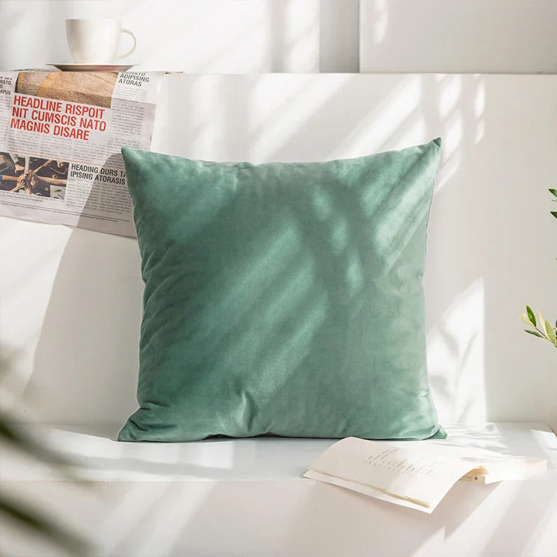 Velvet Cushion Cover for Sofa Living Room, 30x50cm Decorative Pillows by Axyaa